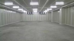 新建500噸香蕉水果氣調(diào)庫需要多少錢？