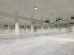 3000噸鮮姜冷庫前期規(guī)劃，冷庫造價預(yù)算多少